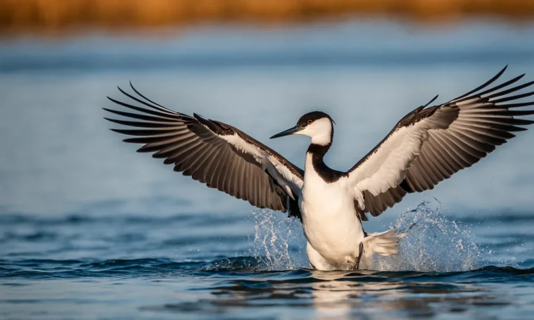 Birds That Dive Into Water: A Deep Dive