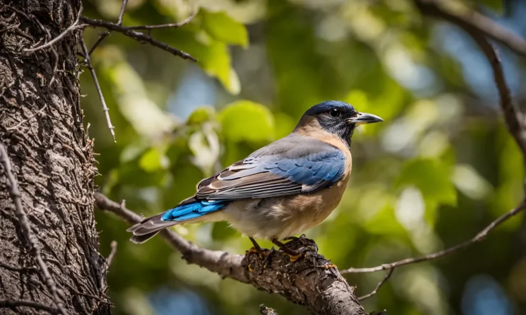 Lookup For Nests: 10 Common Birds That Nest In Trees