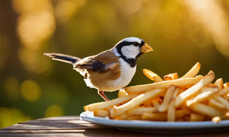 Can Birds Eat French Fries? A Detailed Look At The Risks