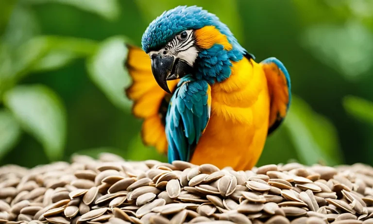 Can Birds Eat Salted Sunflower Seeds? A Vet’S Advice