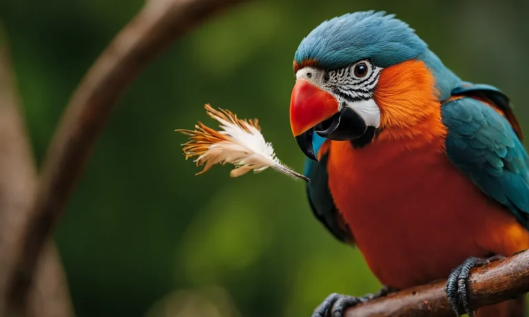 Do Birds Have Sensation In Their Beaks? The Surprising Answer