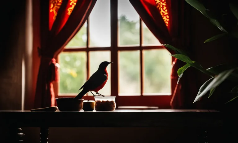 Chinese Superstitions: What It Means When A Bird Flies Into Your House