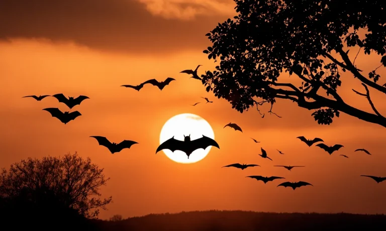 Do Bats Sound Like Birds? Comparing The Calls Of Aviary & Aerial Mammals