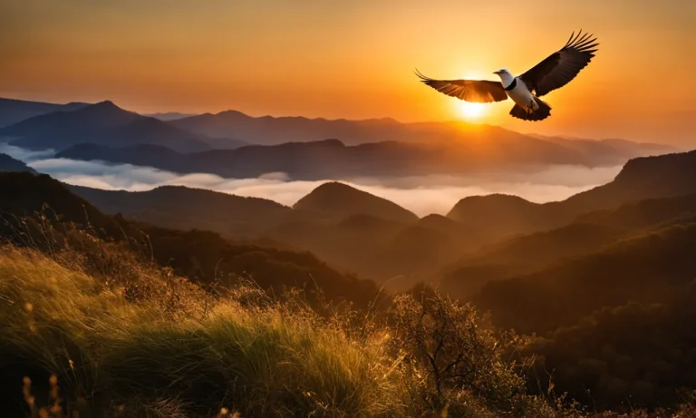 What Does It Mean To Dream About Flying Like A Bird?