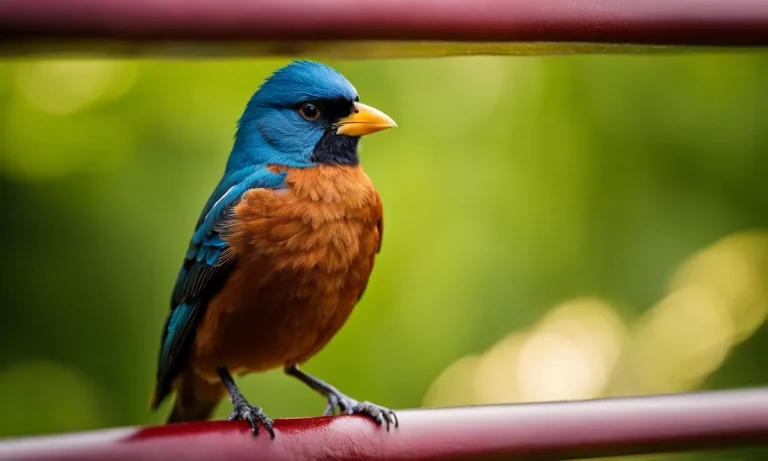 How To Get Rid Of Birds: Natural And Humane Ways To Deter Birds