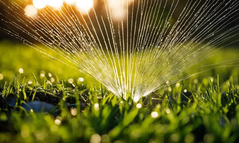 Rain Bird Sprinkler System Not Turning On? How To Troubleshoot And Fix
