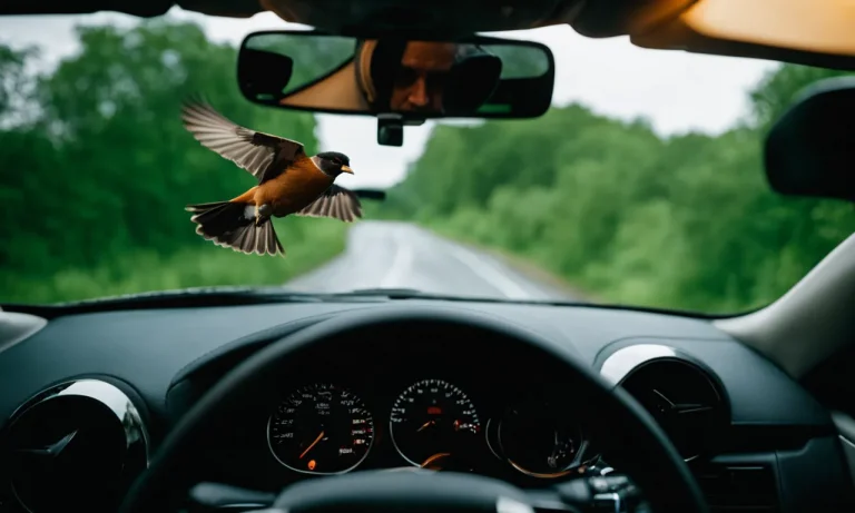 What Are The Odds Of Hitting A Bird While Driving? Analyzing The Risks