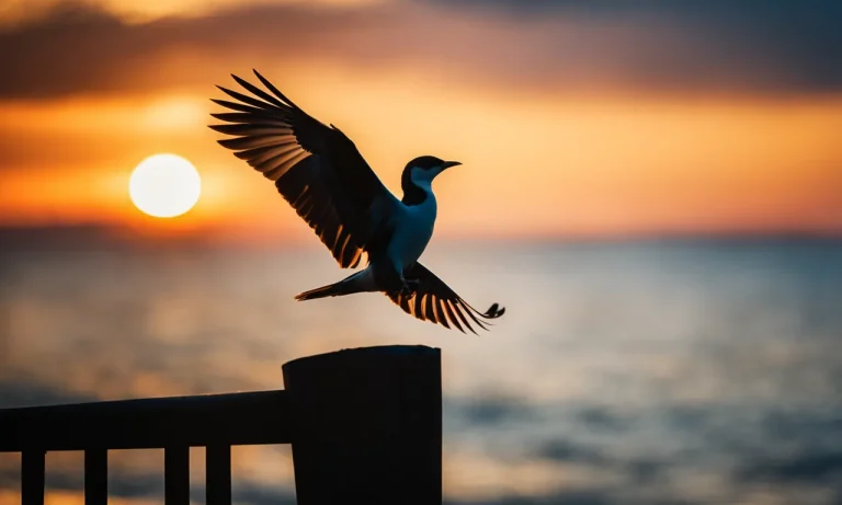 The Lifespan Of Birds: How Long Do Our Feathered Friends Live?